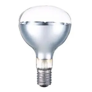 220V 500W形｜屋外用｜レフランプの商品一覧｜白熱電球｜電球の激安