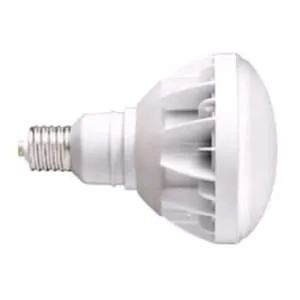LDR33L-H/E39B830 (岩崎電気)｜E39口金｜LED電球｜電材堂【公式】