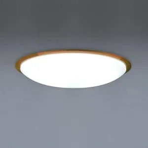 9LKZ693SG (NEC)｜6～10畳｜住宅用照明器具｜電材堂【公式】