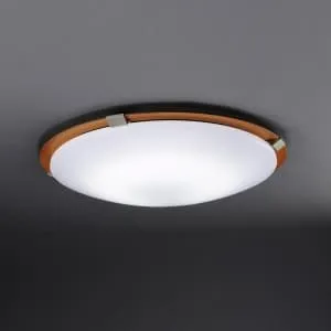 9LKZ693SG (NEC)｜6～10畳｜住宅用照明器具｜電材堂【公式】