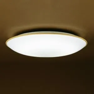 9LKZ608LSG (NEC)｜6～10畳用｜住宅用照明器具｜電材堂【公式】