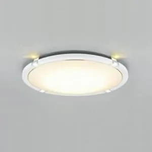 15LKZ460SG (NEC)｜10～14畳｜住宅用照明器具｜電材堂【公式】