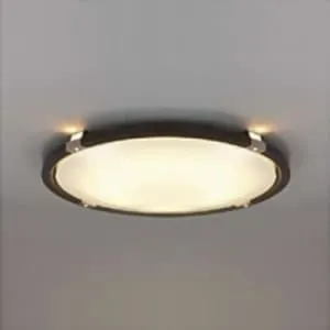 15LGF626LSG (NEC)｜10～14畳｜住宅用照明器具｜電材堂【公式】