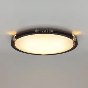 9LKZ426SG (NEC)｜6～10畳｜住宅用照明器具｜電材堂【公式】