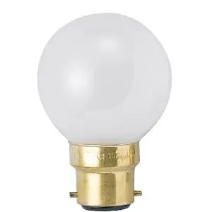 G40B22D100/110V-25W(C)_set (アサヒ)｜直径40mm｜白熱電球｜電材堂