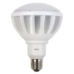 L50W-E39-W-5000K (日動工業)｜E39口金｜LED電球｜電材堂【公式】
