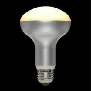 LDR11L-N/D/927/P20/10/03 (SORAA)｜E26口金｜LED電球｜電材堂【公式】