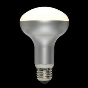DL-LR81N (シャープ)｜E26口金｜LED電球｜電材堂【公式】