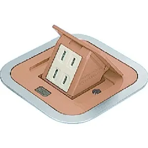 DU1100DK (パナソニック)｜床用配線器具｜配線器具｜電材堂【公式】