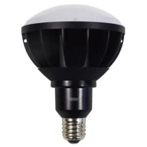LDR33L-H/E39B830 (岩崎電気)｜E39口金｜LED電球｜電材堂【公式】