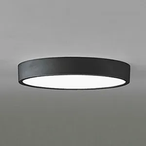 ODELIC　オーデリック　照明器具　OL251733 OL251733 (オーデリック)｜小形シーリング(玄関・廊下・階段・トイレ