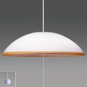 M0126A1 未開封★タキズミ LEDペンダントライト 8畳用 RV80057 RV80057 (タキズミ)｜8畳用｜住宅用照明器具｜電材堂【公式】
