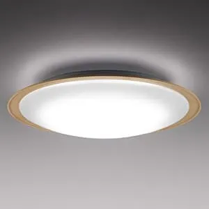 HLDZ12208 (NEC)｜12畳用｜住宅用照明器具｜電材堂【公式】