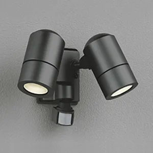 OG254558LD (オーデリック)｜スポットライト｜住宅用照明器具｜電材堂