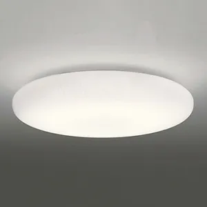 OL251834 (オーデリック)｜10畳用｜住宅用照明器具｜電材堂【公式】