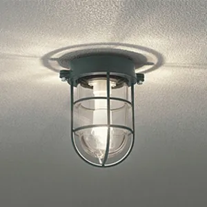 OG254609LD (オーデリック)｜壁面取付タイプ｜住宅用照明器具｜電材堂