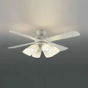 LFARE-17276 (ラッキー)｜8～10畳｜住宅用照明器具｜電材堂【公式】