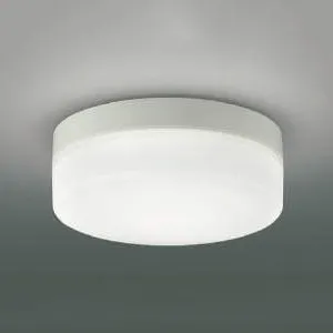 AR49374L (コイズミ照明)｜直付型｜業務用照明器具｜電材堂【公式】