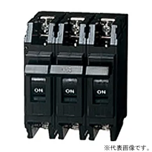 BBK3100 (パナソニック)｜配線用遮断器｜分電盤｜電材堂【公式】