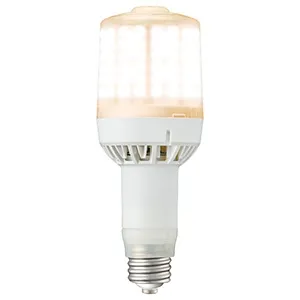 LDT100-242V28N-G/H100 (岩崎電気)｜岩崎電気 レディオック LEDライト