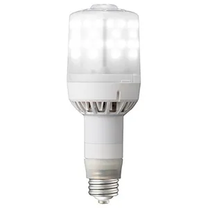 LDTS103N-G-E39 (岩崎電気)｜岩崎電気 レディオック LEDライトバルブ