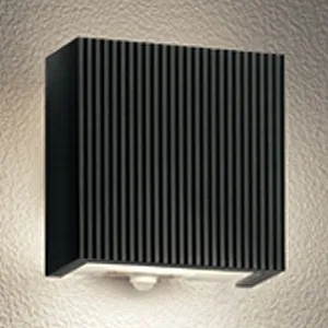 OG254865LCR (オーデリック)｜壁面取付タイプ｜住宅用照明器具｜電材堂