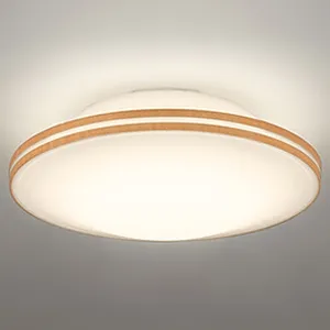 Led 電球 小型シーリングライトオーデリック OL291093 オーデリック