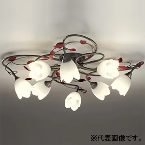 OC257025LR (オーデリック)｜6～8畳用｜住宅用照明器具｜電材堂【公式】