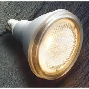LDR12L-W/W/TC (東洋ライテック)｜電球色相当｜LED電球｜電材堂【公式】