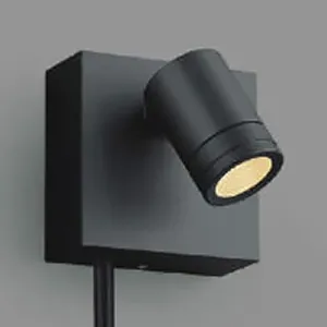 遠藤照明 LEDスポットライト スパイクタイプ 色ダークグレー ERS4981H スパイク型｜屋外用｜スポットライトの商品一覧｜業務用照明器具｜照明