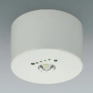 直付型｜非常用照明器具の商品一覧｜業務用照明器具｜照明器具の激安