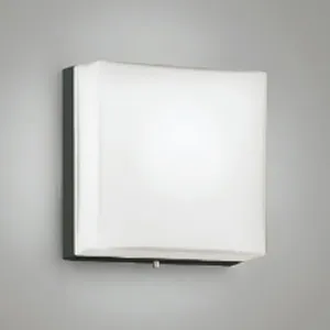 DEG-40234WF (DAIKO)｜壁直付型器具｜業務用照明器具｜電材堂【公式】
