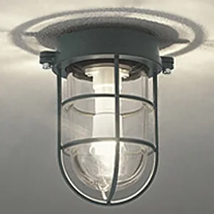 OG254608LR (オーデリック)｜壁直付用｜住宅用照明器具｜電材堂【公式】