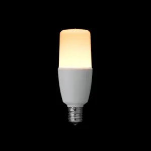 LDT11L-G/S/80W/2 (東芝)｜電球色｜LED電球｜電材堂【公式】