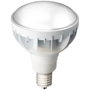 昼白色相当｜E39口金｜バラストレス水銀ランプタイプの商品一覧｜LED